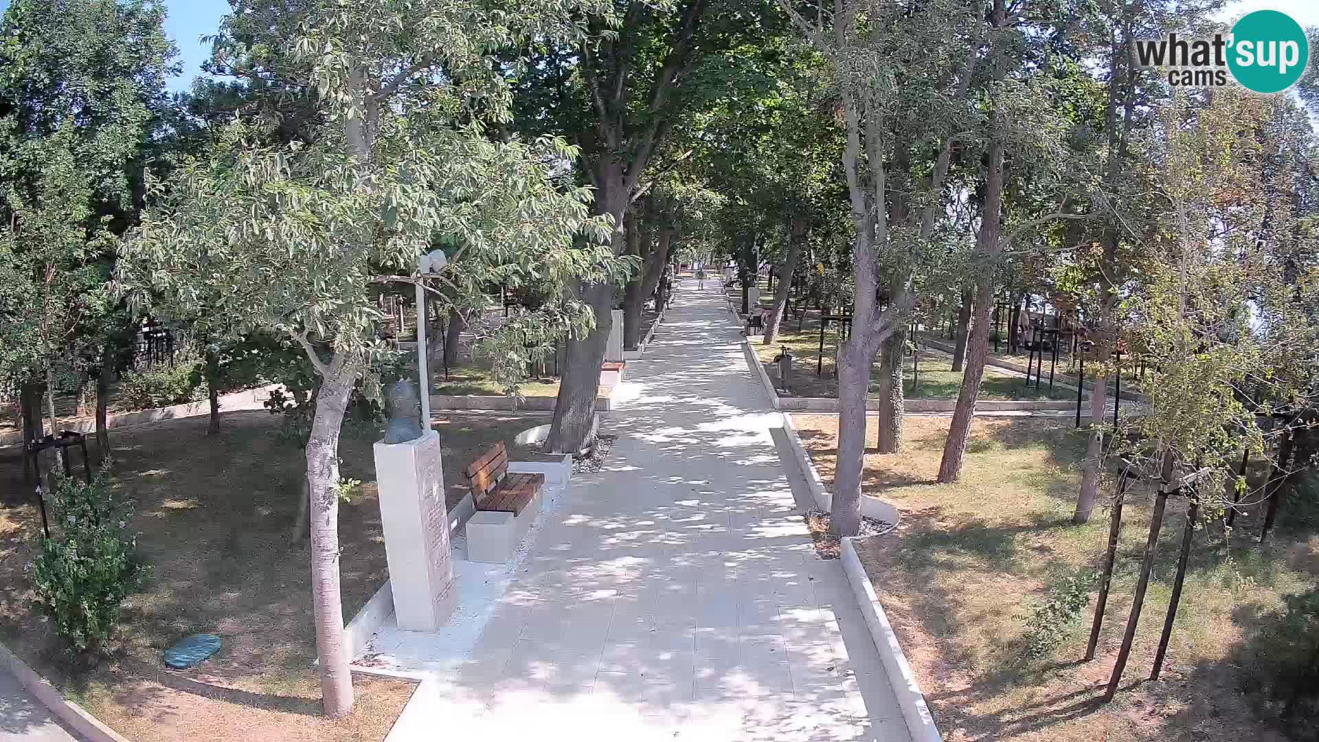 Webcam Parco degli Scrittori Segna – Diretta sul Mare