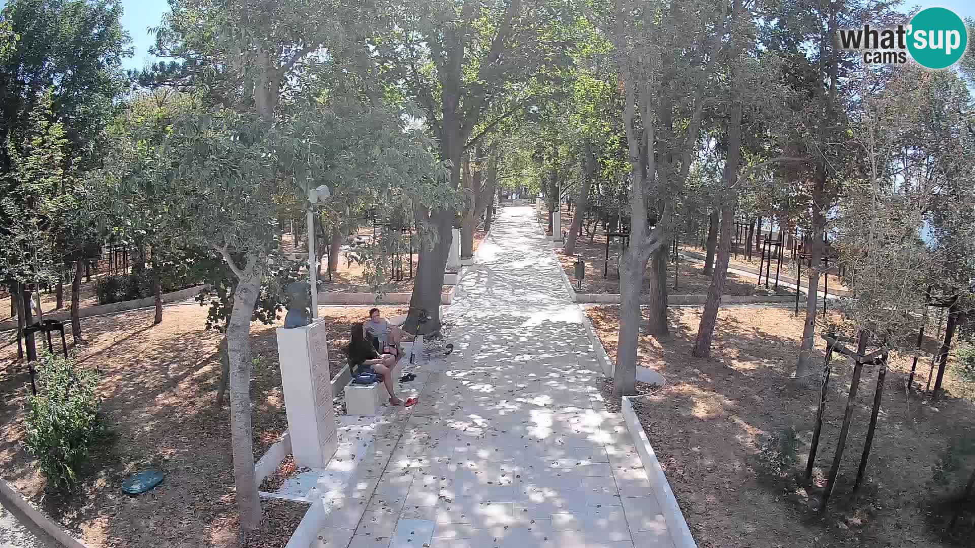 Webcam Parco degli Scrittori Segna – Diretta sul Mare