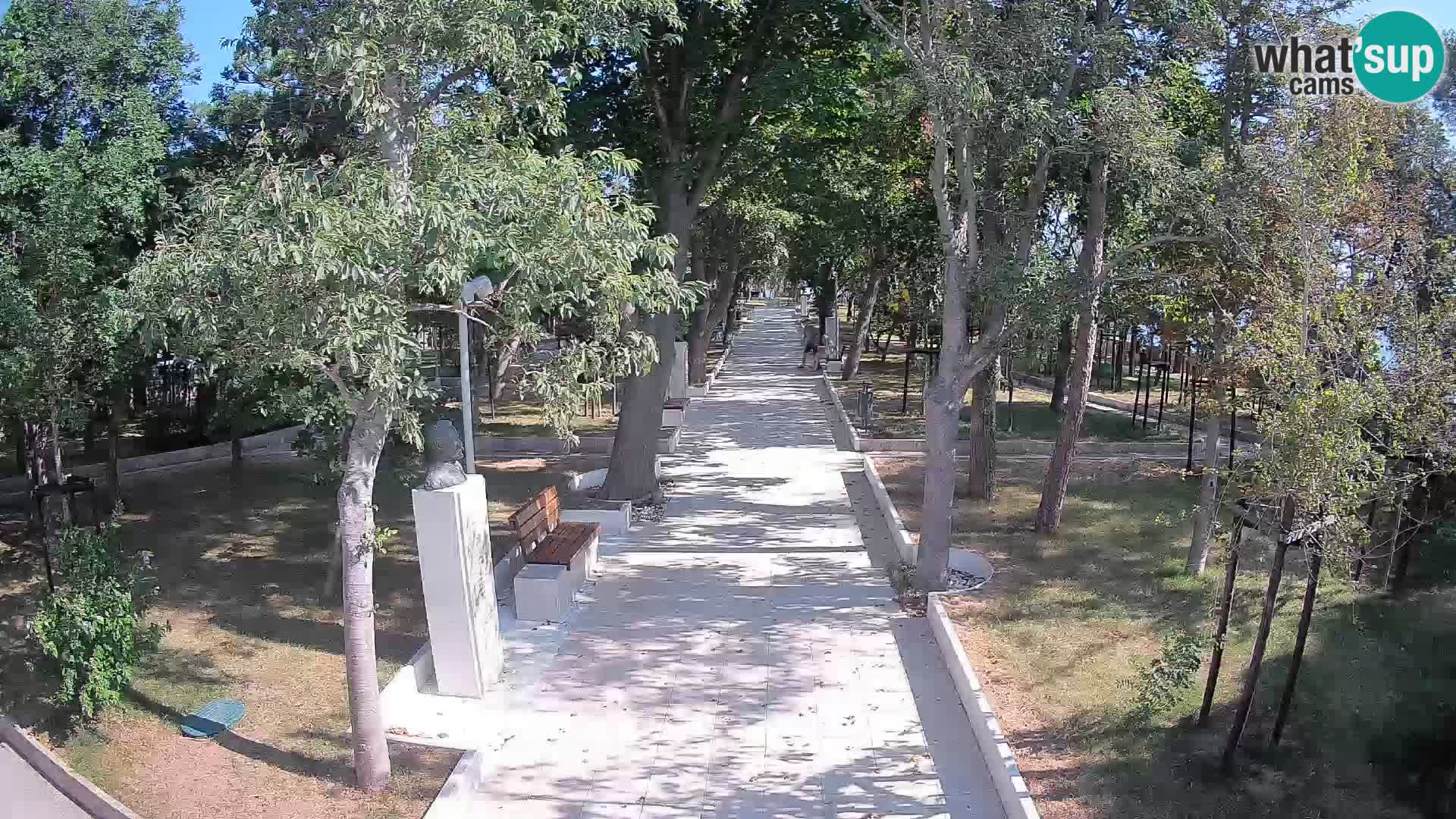 Webcam Parco degli Scrittori Segna – Diretta sul Mare