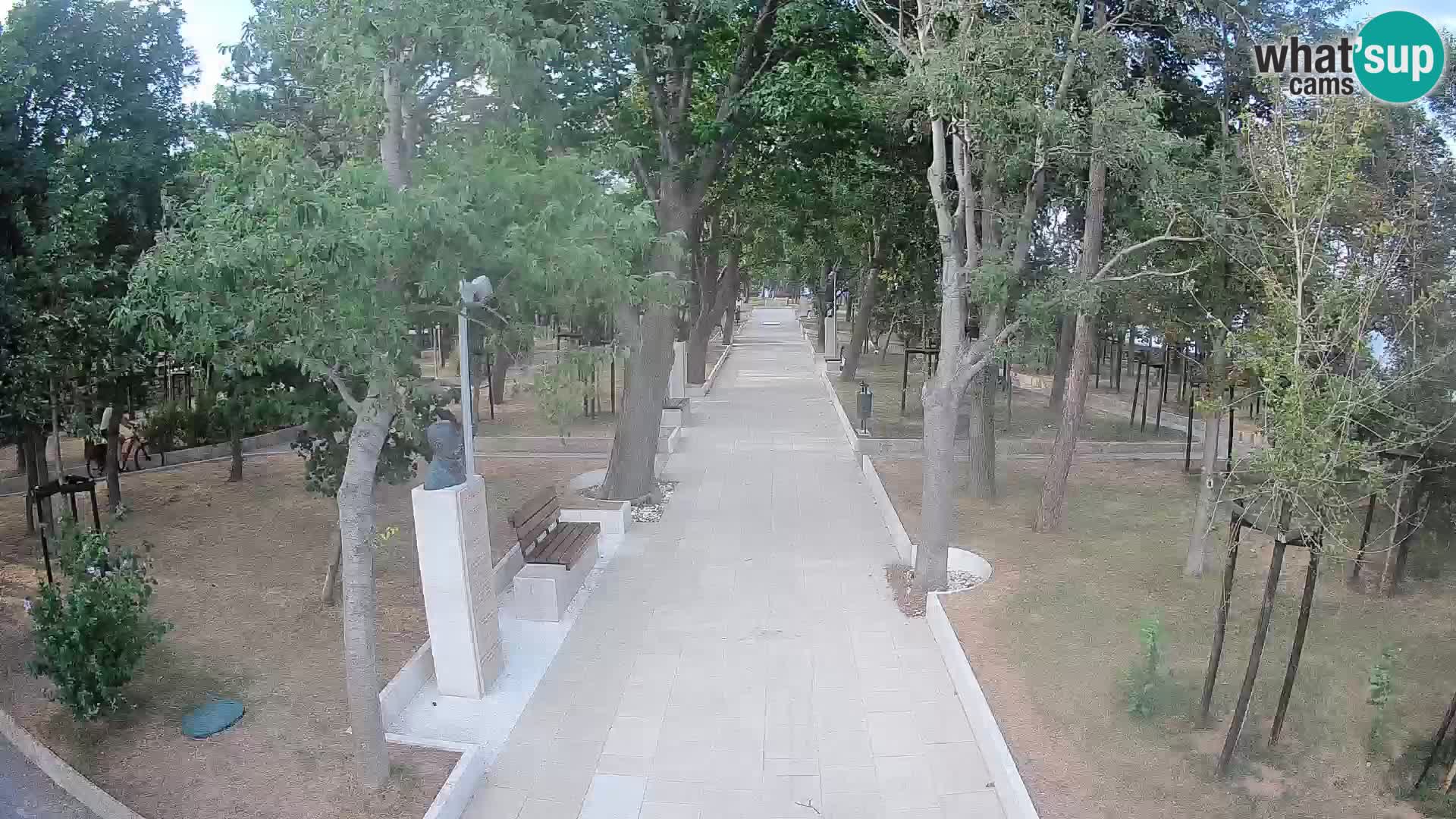 Webcam Parco degli Scrittori Segna – Diretta sul Mare