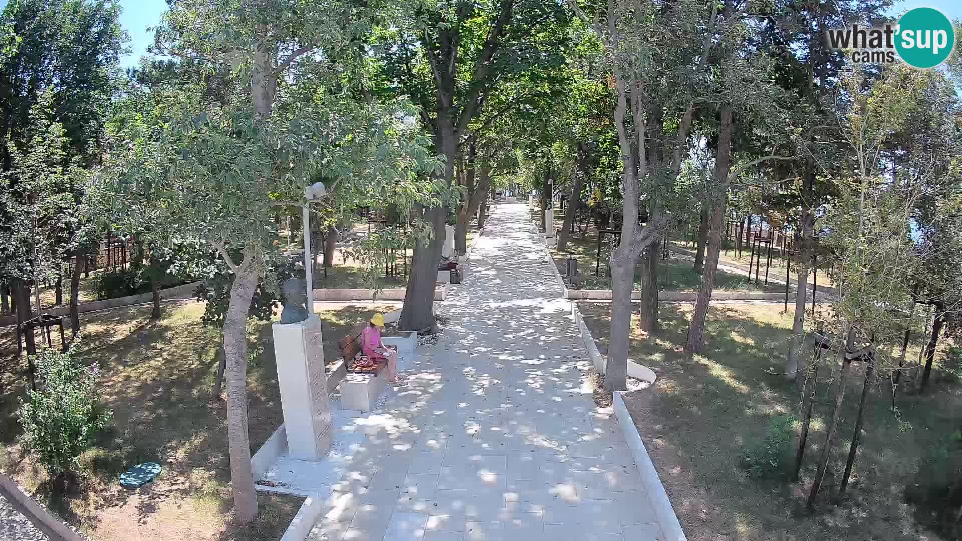 Webcam Parco degli Scrittori Segna – Diretta sul Mare