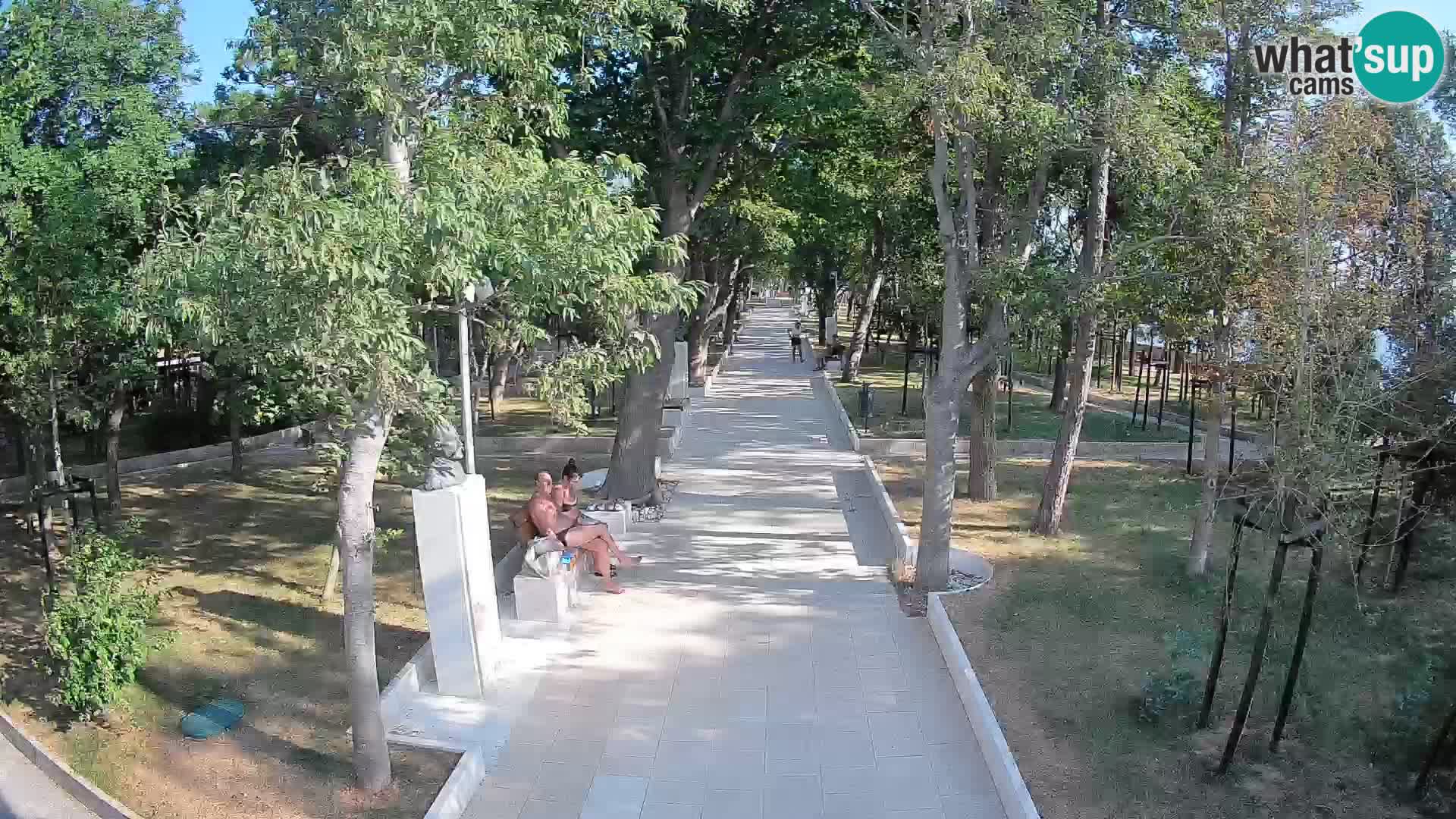 Webcam Parco degli Scrittori Segna – Diretta sul Mare