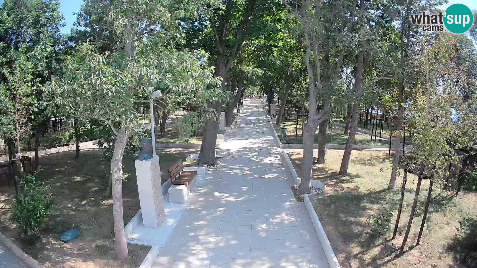Webcam Parco degli Scrittori Segna – Diretta sul Mare