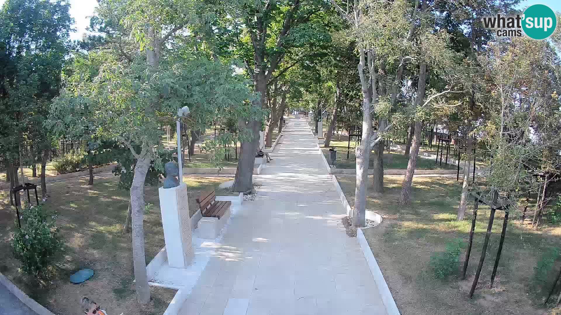Webcam Parco degli Scrittori Segna – Diretta sul Mare