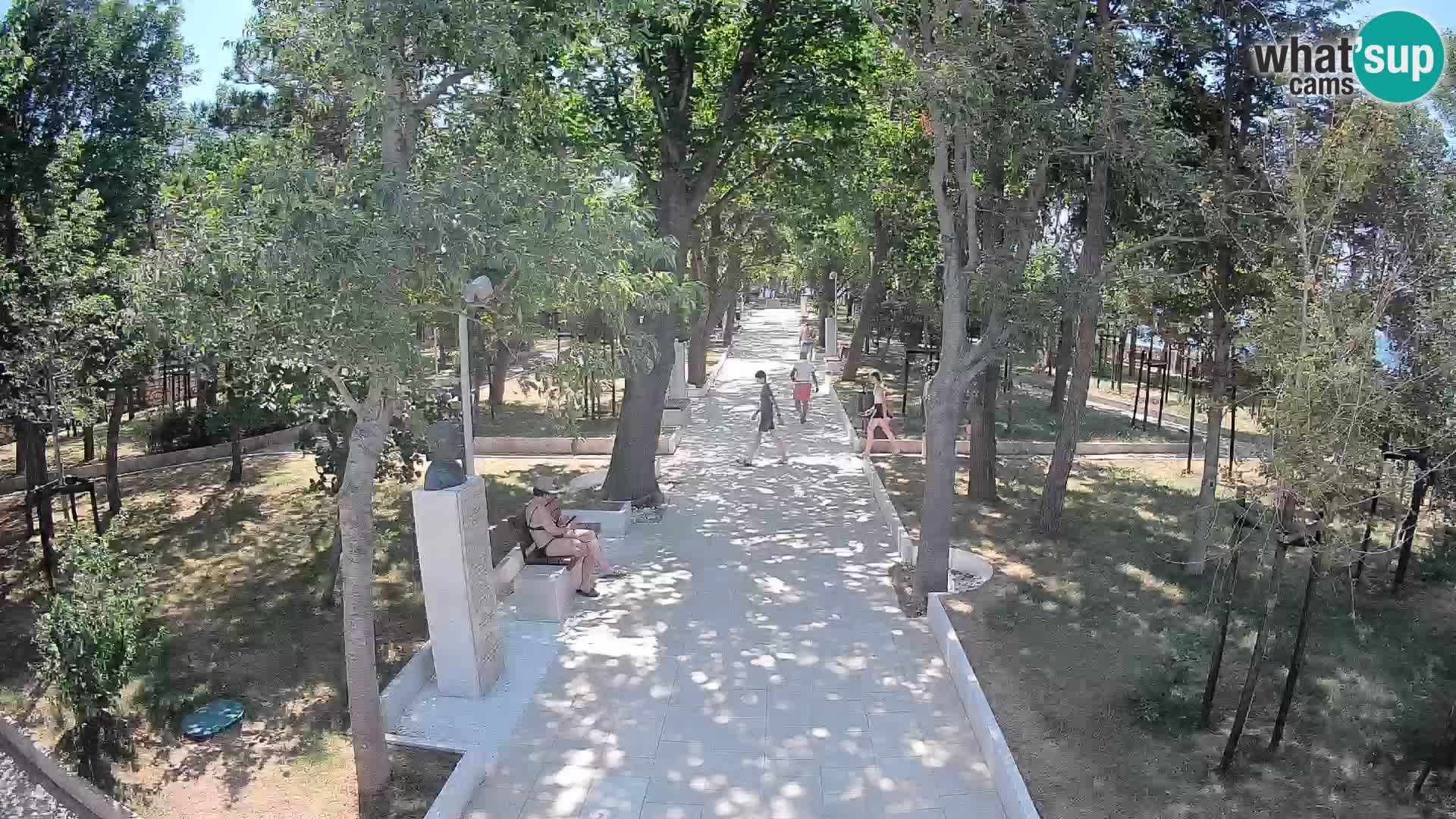 Webcam Parco degli Scrittori Segna – Diretta sul Mare