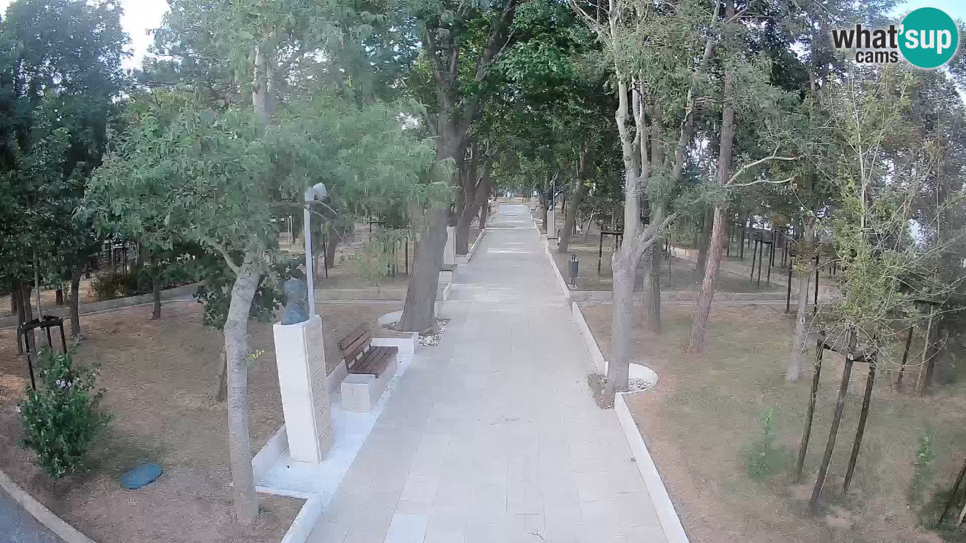 Webcam Parco degli Scrittori Segna – Diretta sul Mare