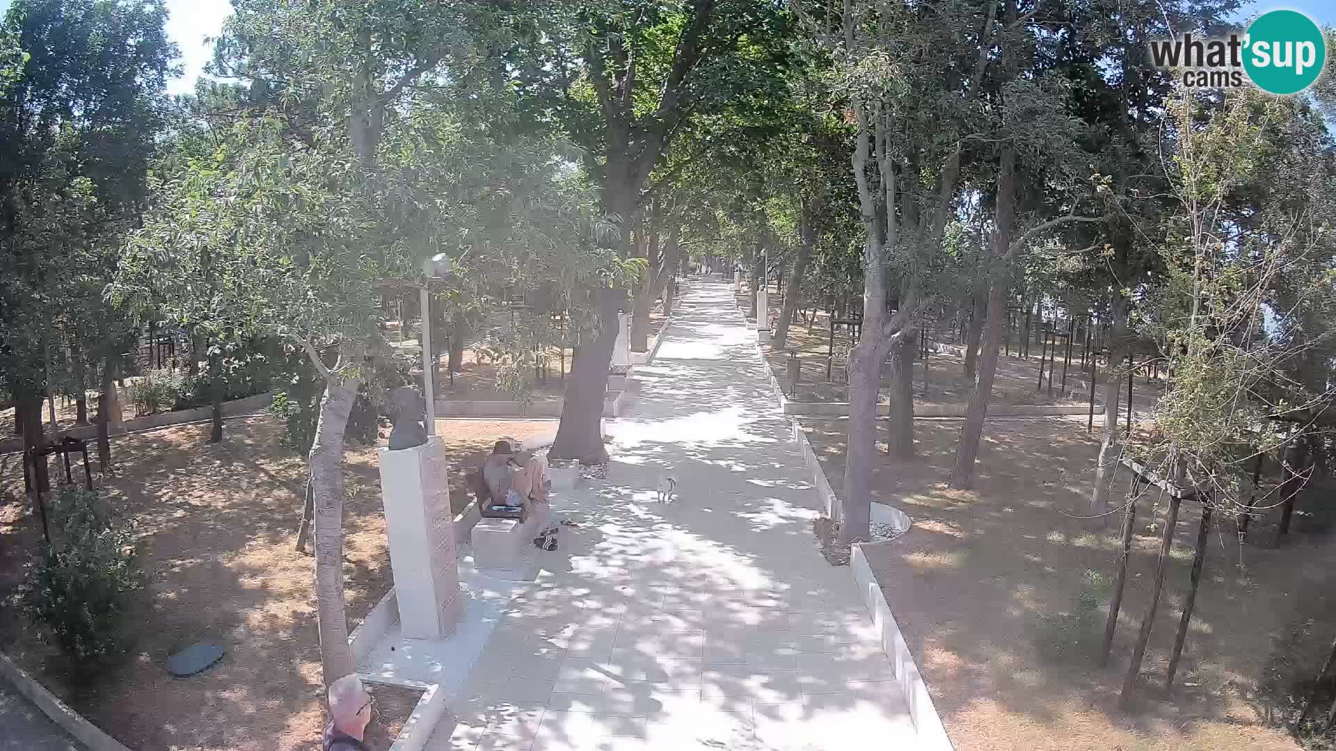 Webcam Parco degli Scrittori Segna – Diretta sul Mare