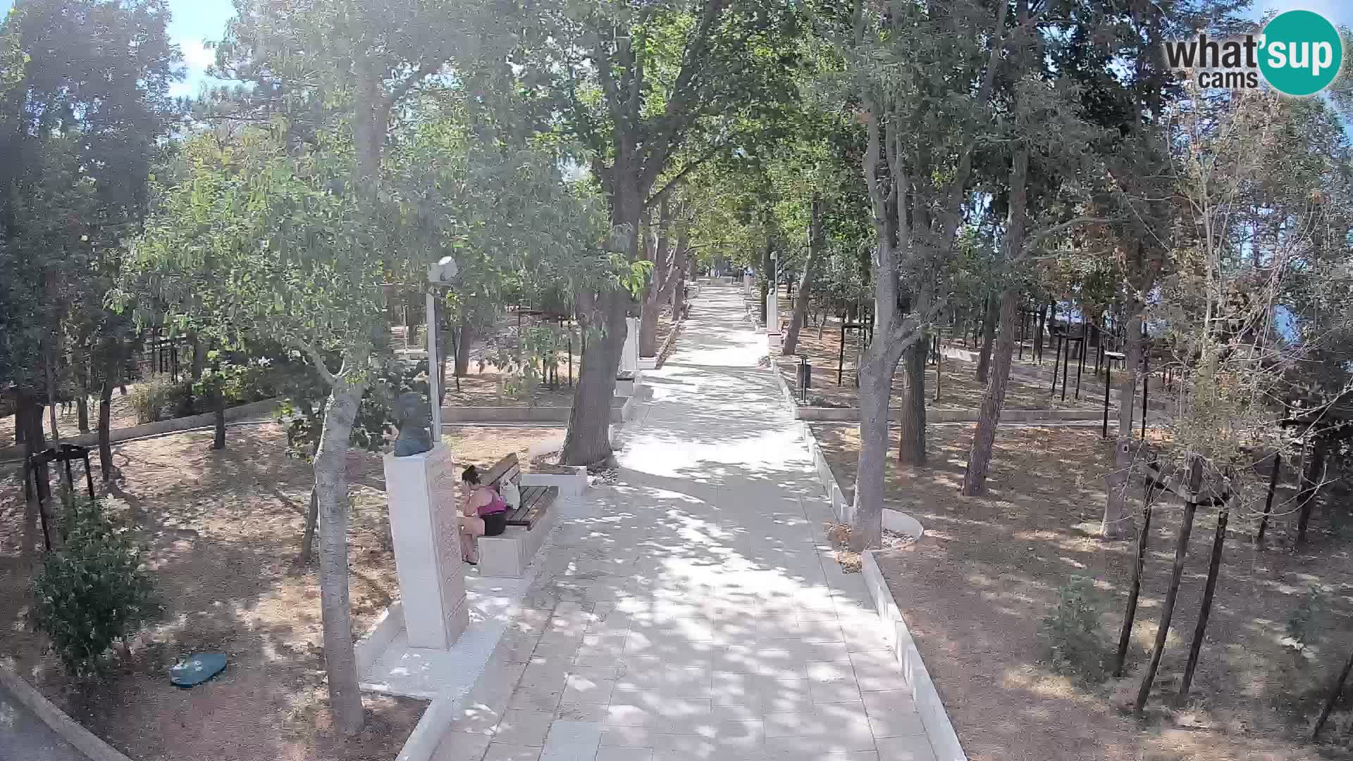 Webcam Parco degli Scrittori Segna – Diretta sul Mare