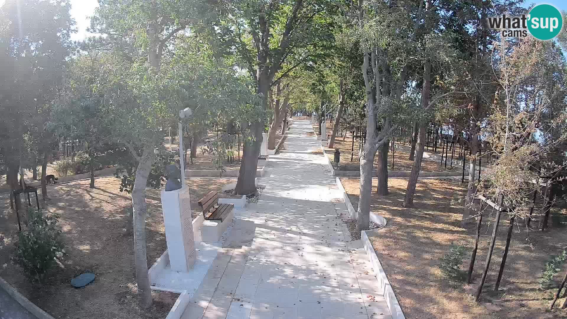 Webcam Parco degli Scrittori Segna – Diretta sul Mare