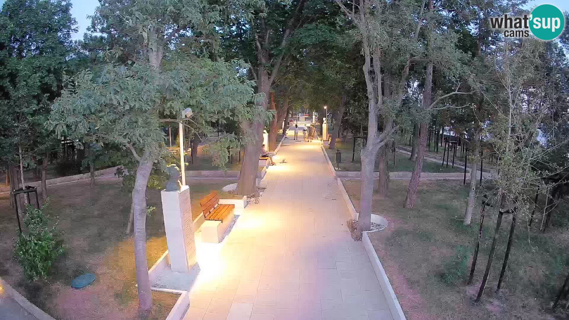 Webcam Parco degli Scrittori Segna – Diretta sul Mare