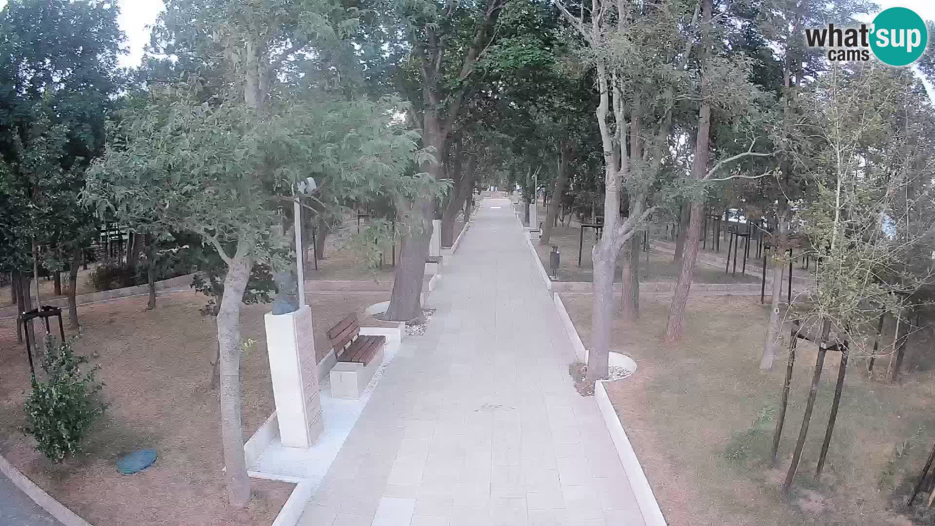 Webcam Parco degli Scrittori Segna – Diretta sul Mare