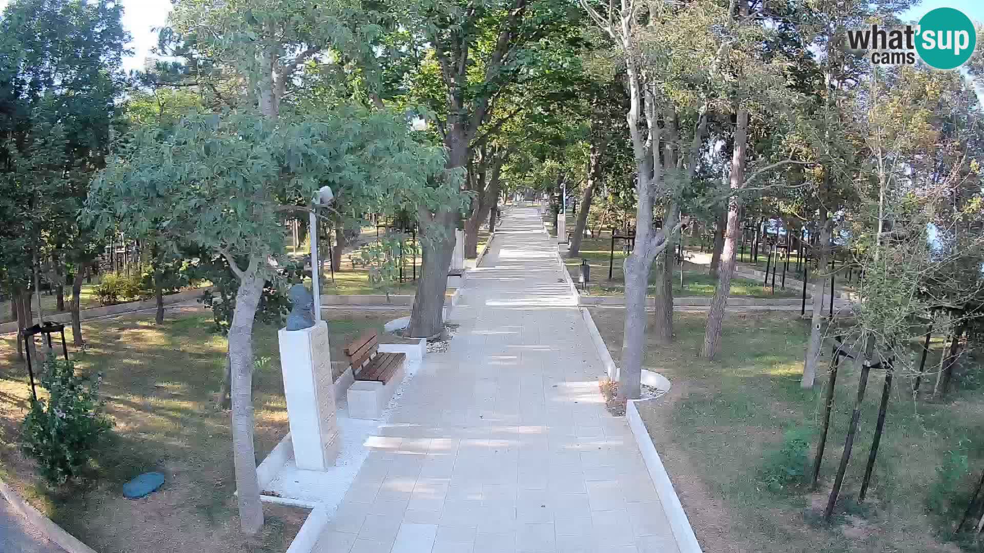 Webcam Parco degli Scrittori Segna – Diretta sul Mare