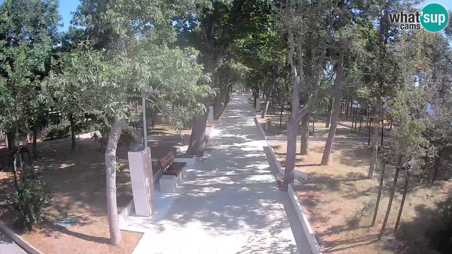 Webcam Parco degli Scrittori Segna – Diretta sul Mare