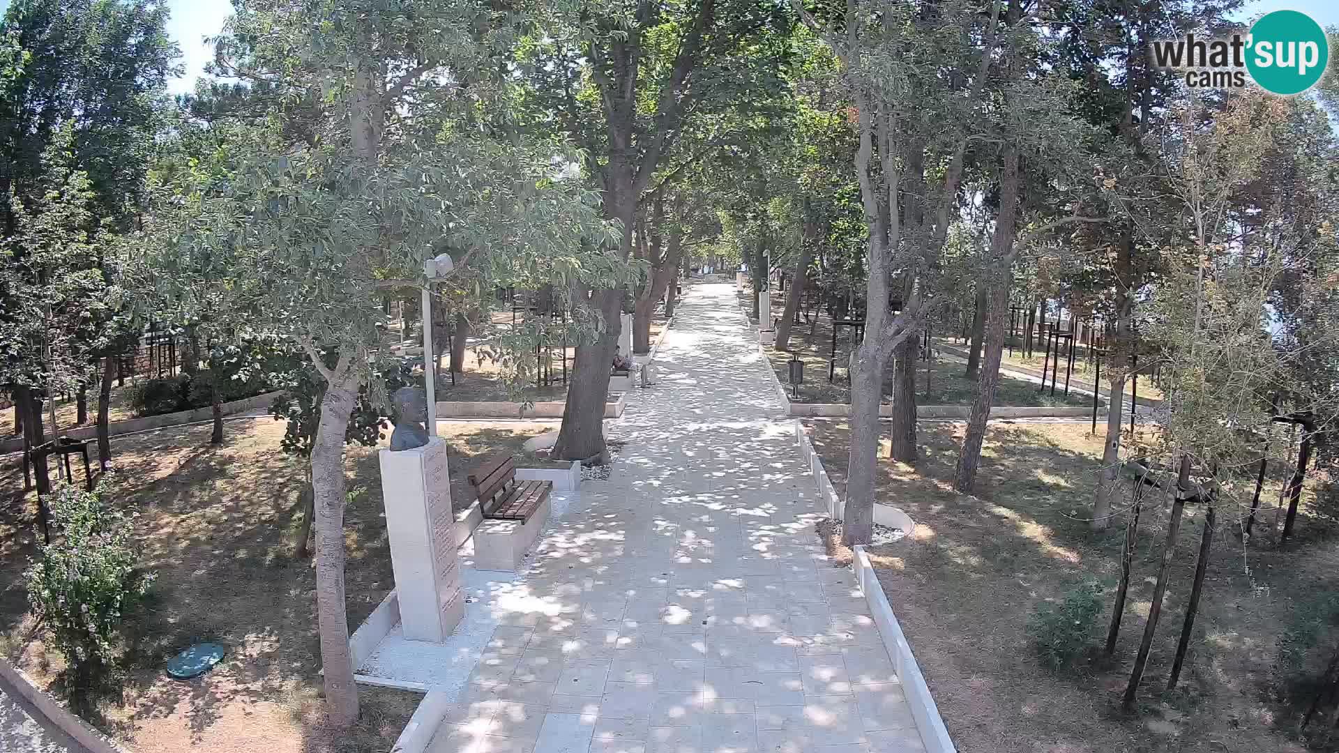 Webcam Parco degli Scrittori Segna – Diretta sul Mare