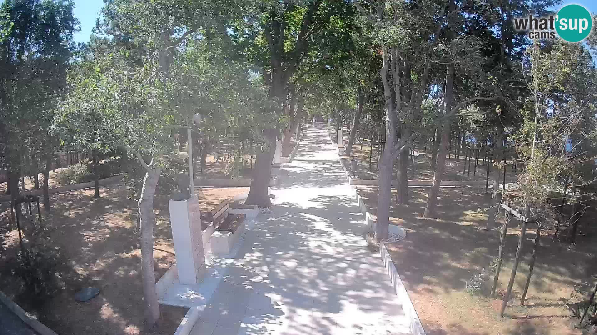 Webcam Schriftstellerpark Senj – Live am Meer
