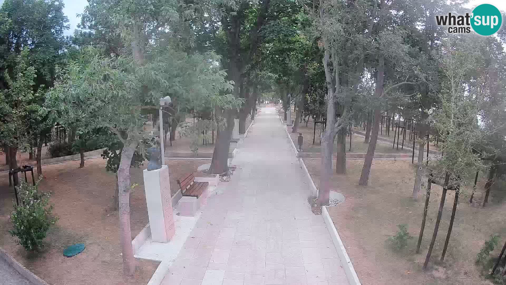 Webcam Parco degli Scrittori Segna – Diretta sul Mare
