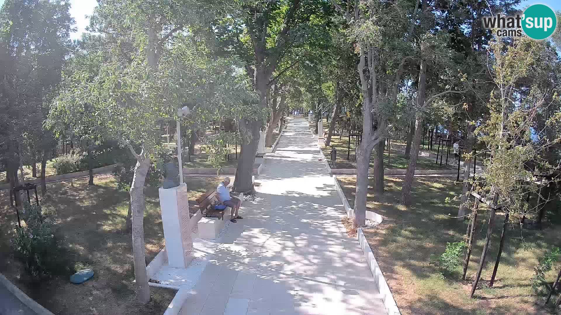Webcam Parco degli Scrittori Segna – Diretta sul Mare