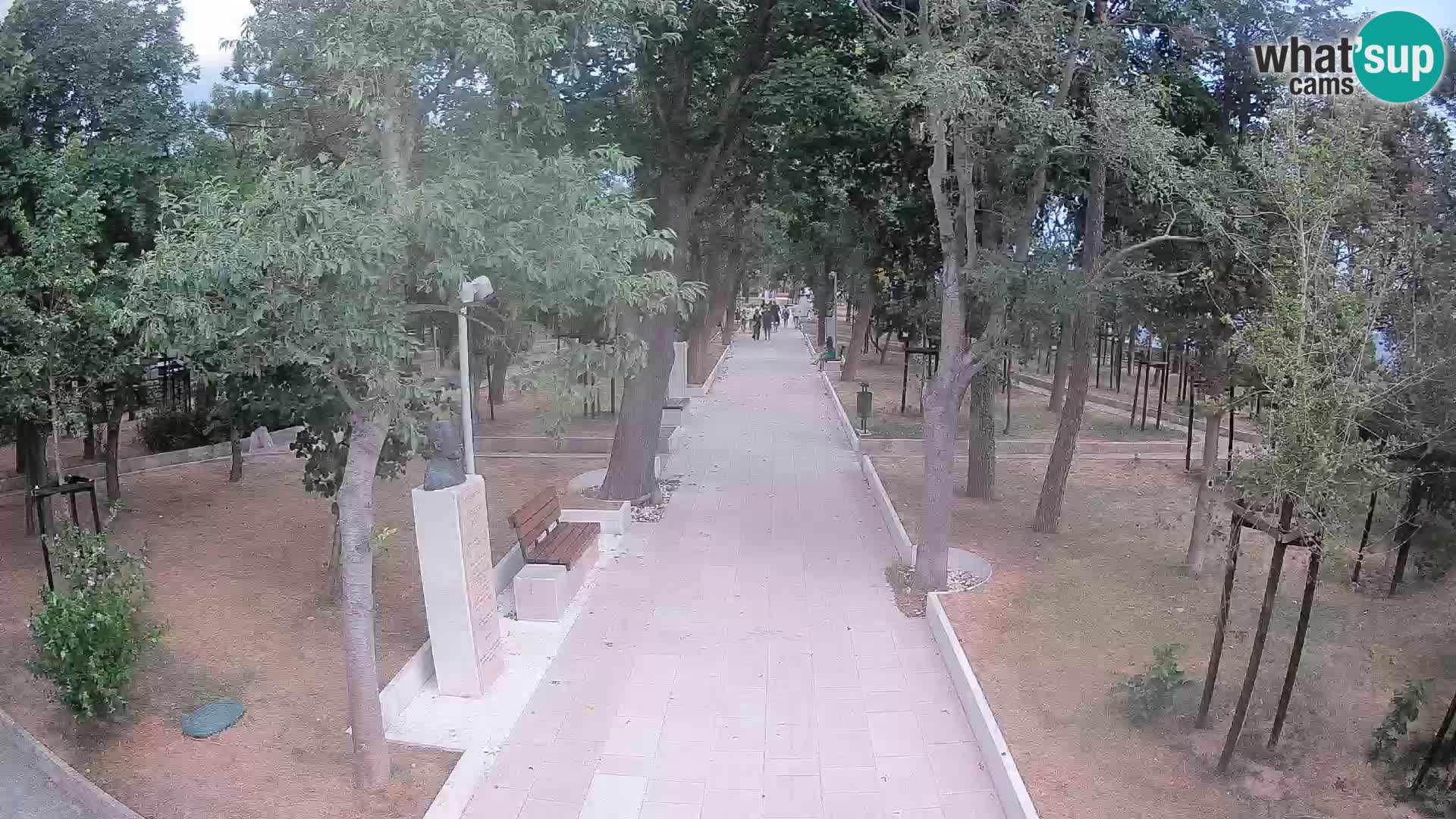 Webcam Parco degli Scrittori Segna – Diretta sul Mare