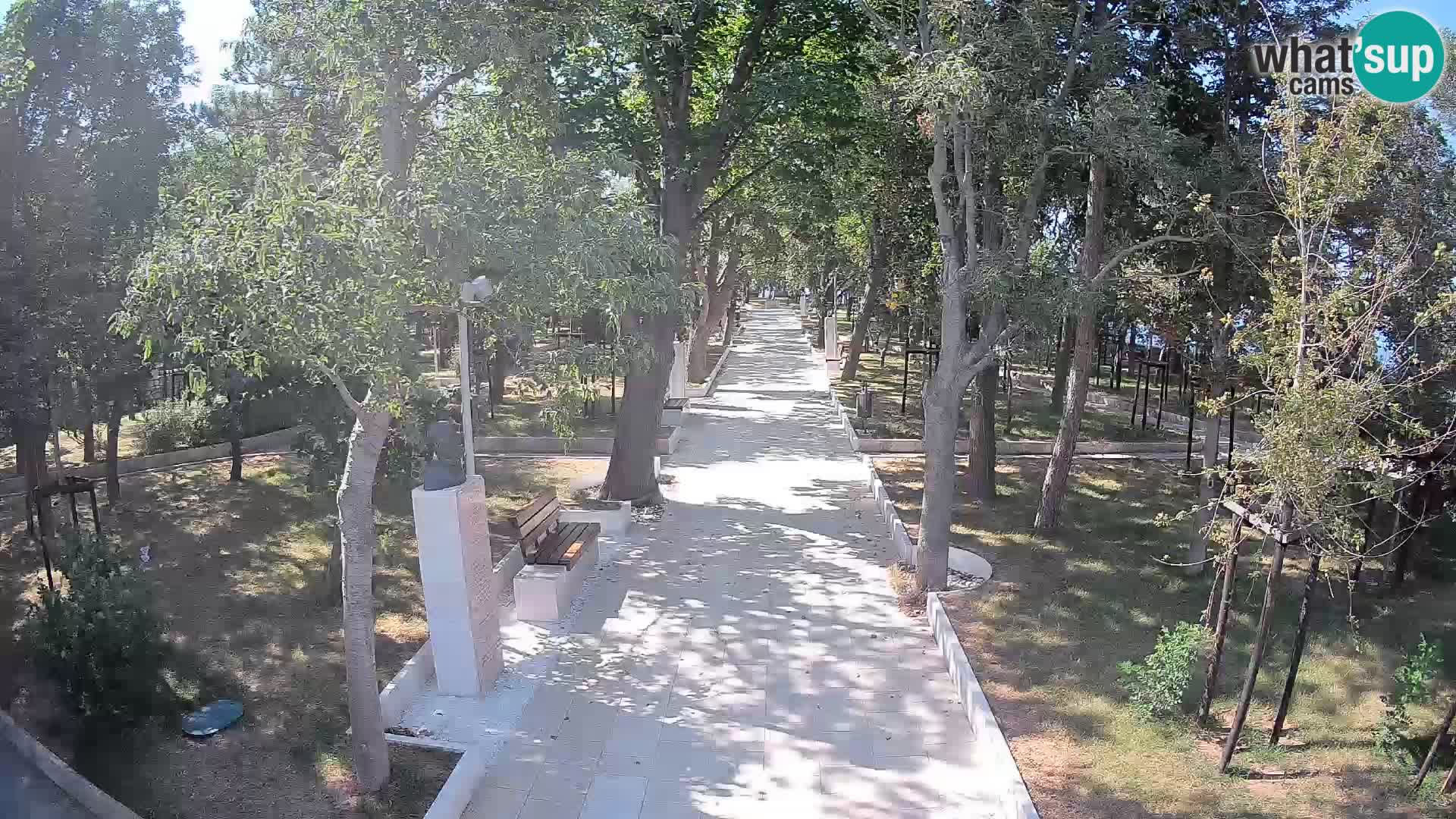 Webcam Parco degli Scrittori Segna – Diretta sul Mare