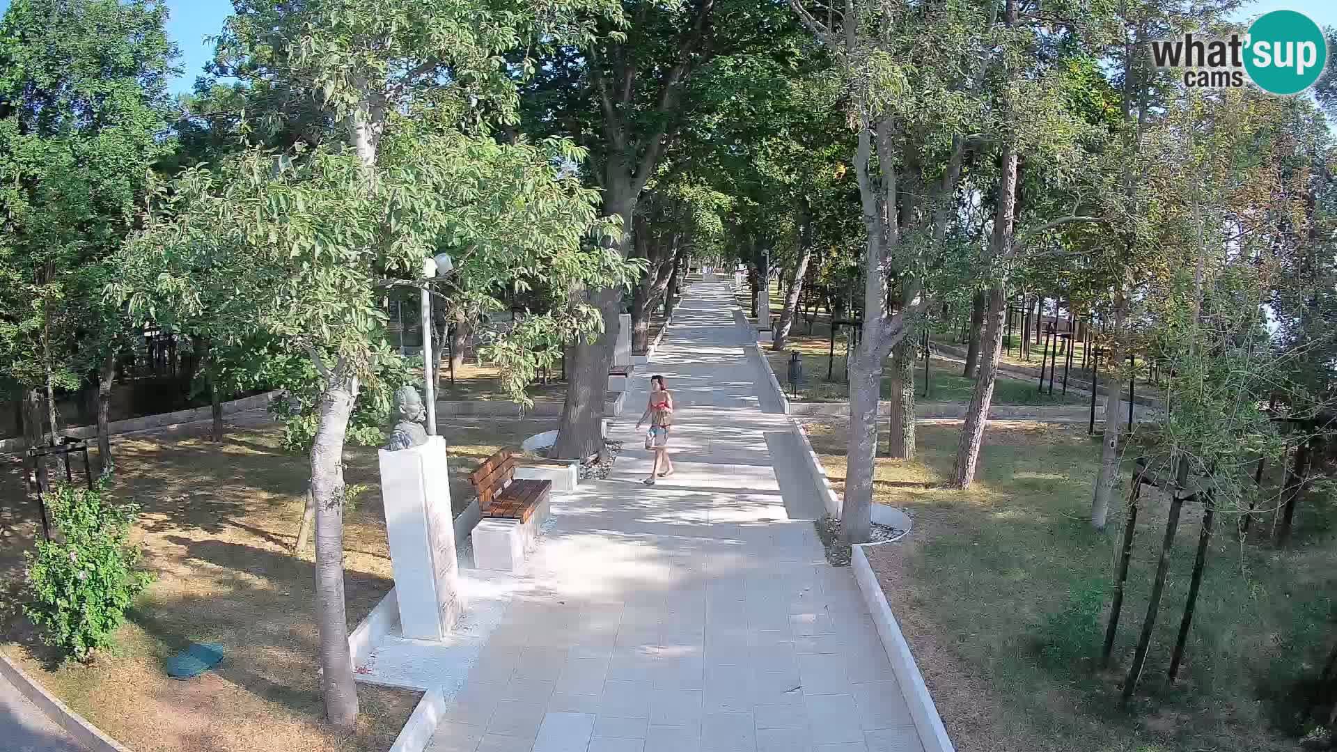 Webcam Parco degli Scrittori Segna – Diretta sul Mare