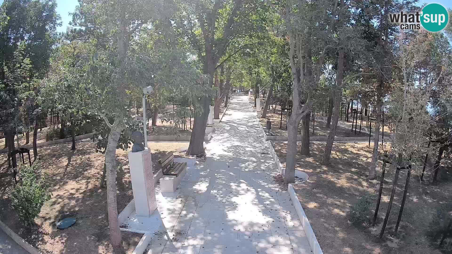 Webcam Parco degli Scrittori Segna – Diretta sul Mare