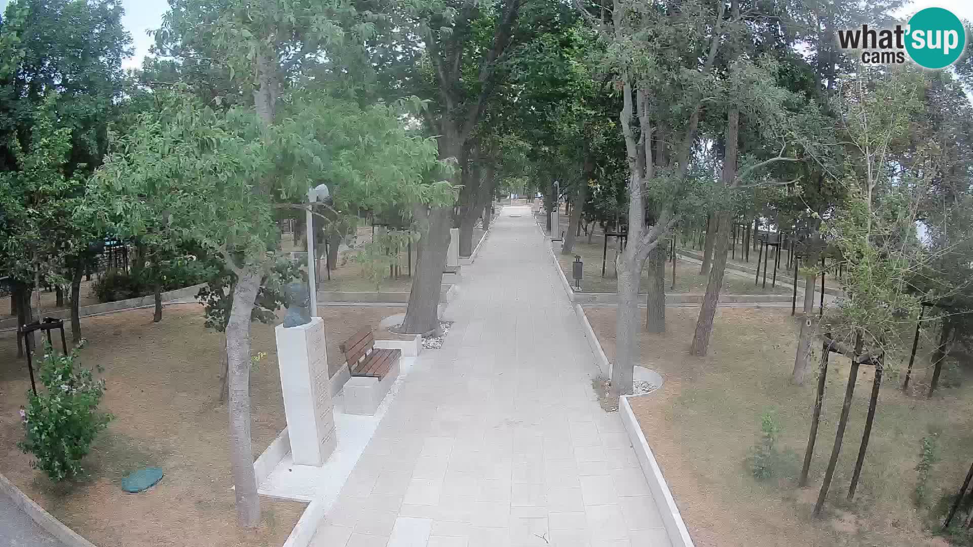 Webcam Parco degli Scrittori Segna – Diretta sul Mare