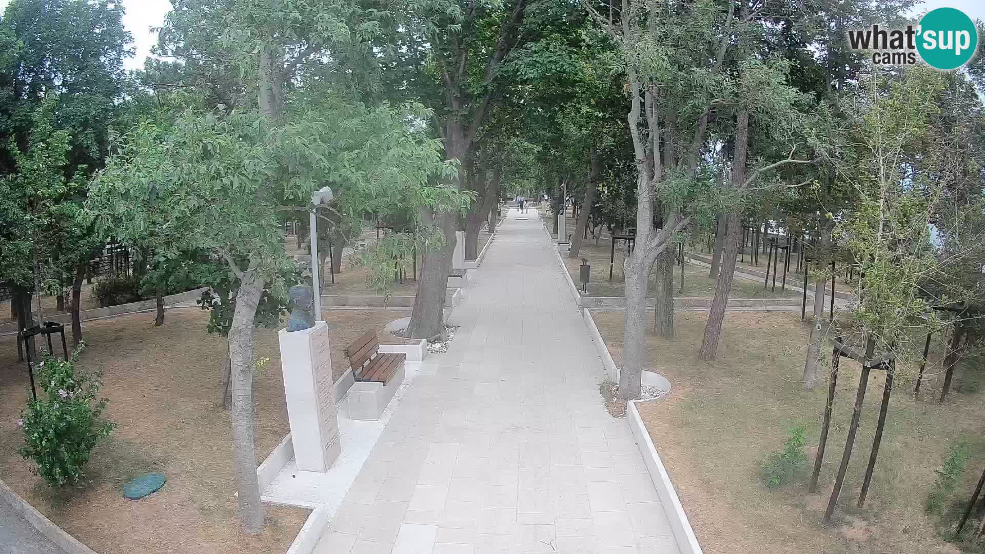 Webcam Parco degli Scrittori Segna – Diretta sul Mare