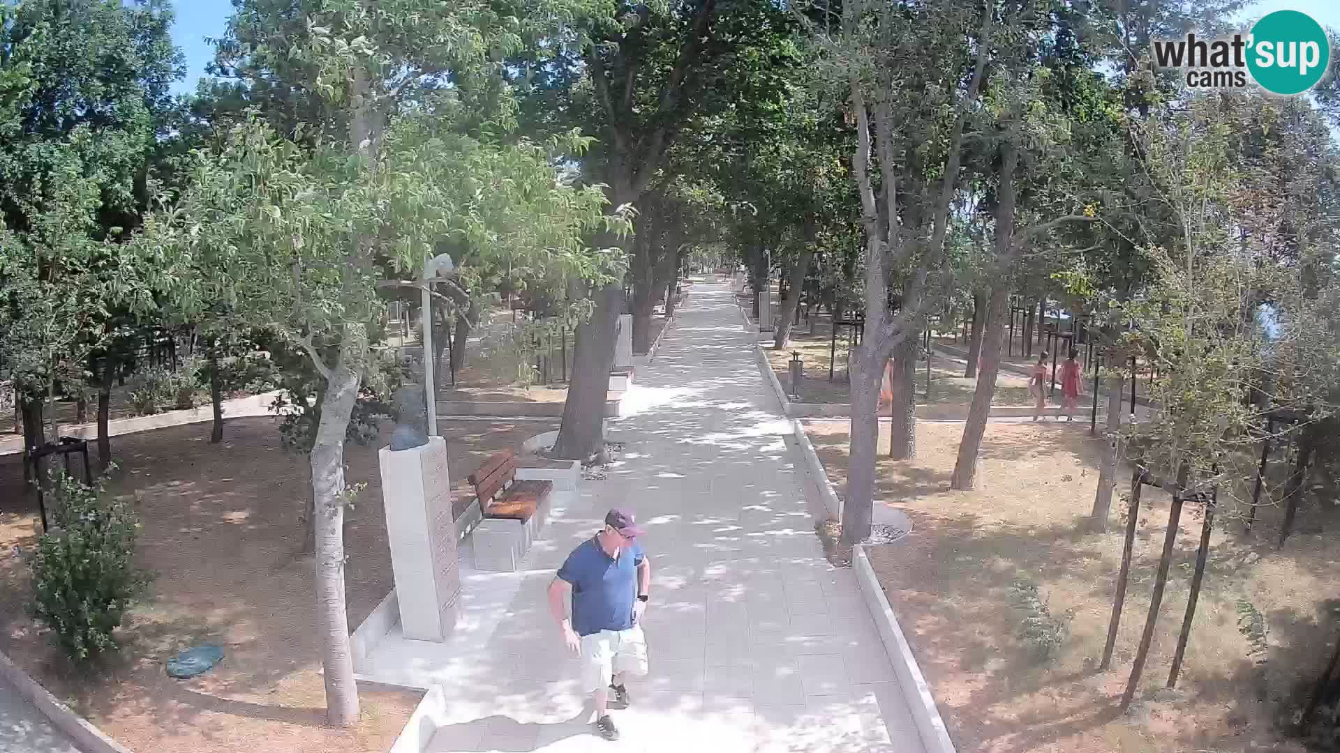 Webcam Parco degli Scrittori Segna – Diretta sul Mare