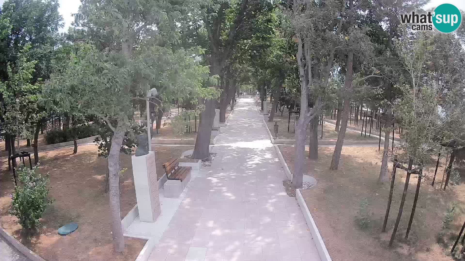 Webcam Parco degli Scrittori Segna – Diretta sul Mare
