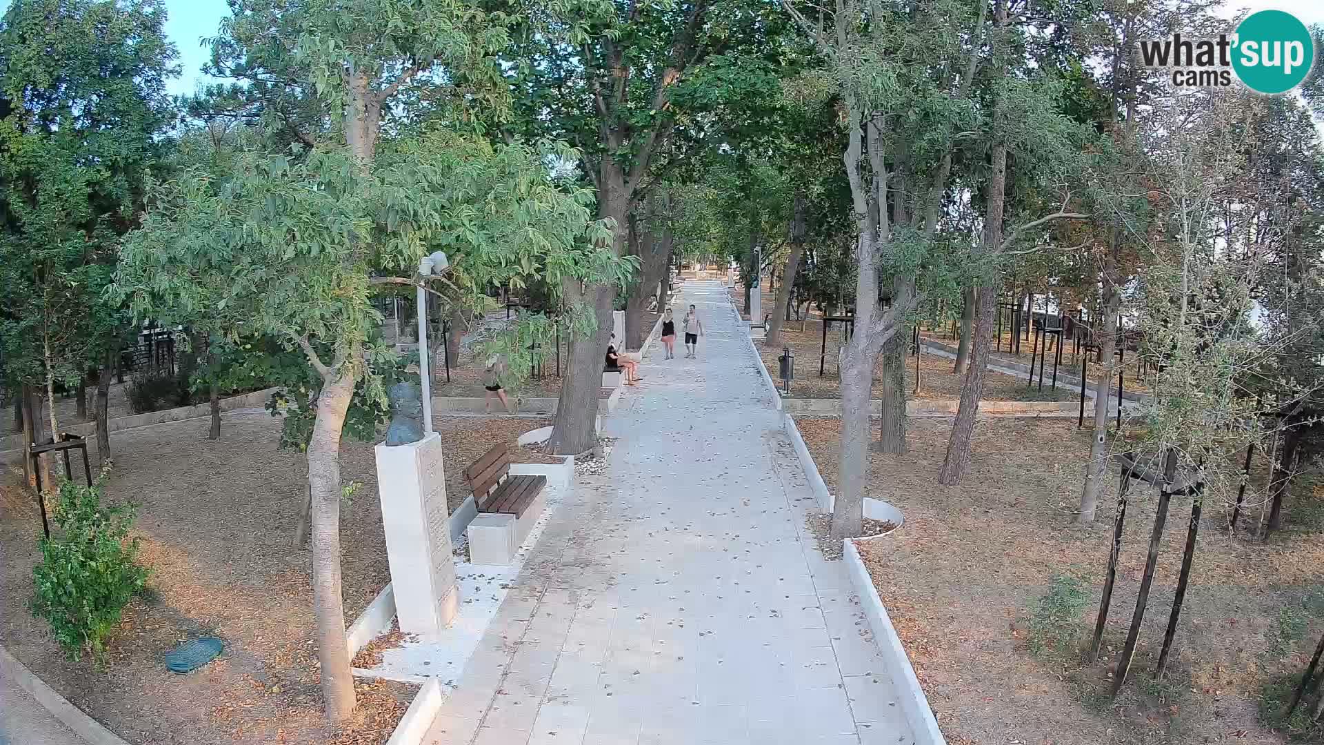 Webcam Parco degli Scrittori Segna – Diretta sul Mare