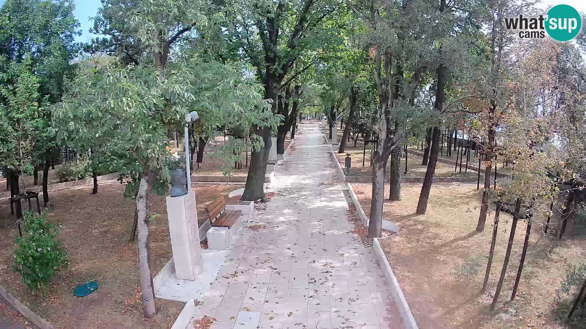 Webcam Parco degli Scrittori Segna – Diretta sul Mare