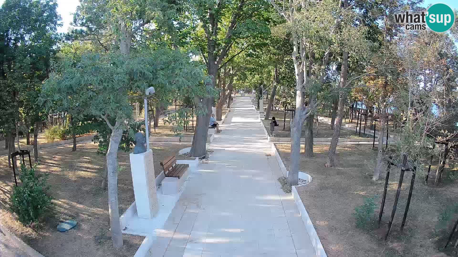 Webcam Parco degli Scrittori Segna – Diretta sul Mare