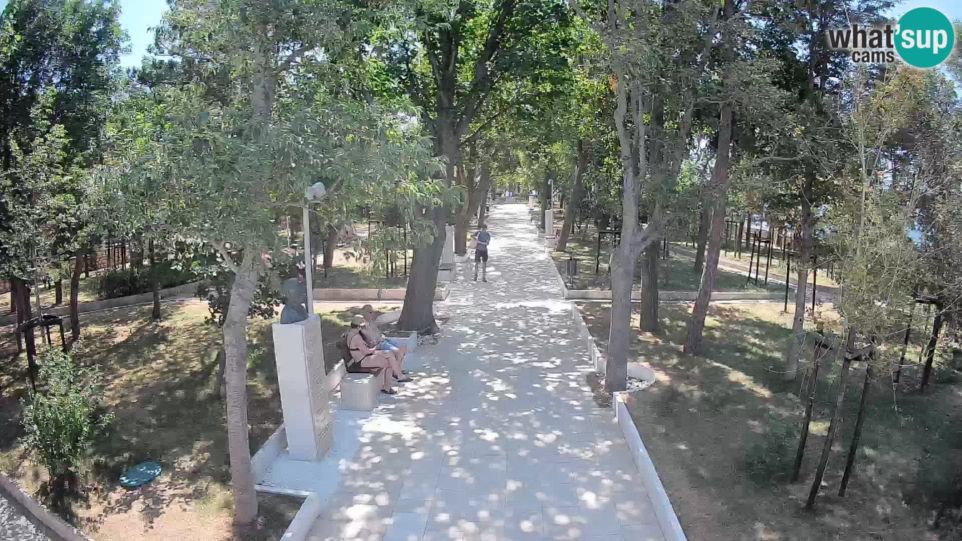 Writers’ Park Webcam Senj – Live by the Sea