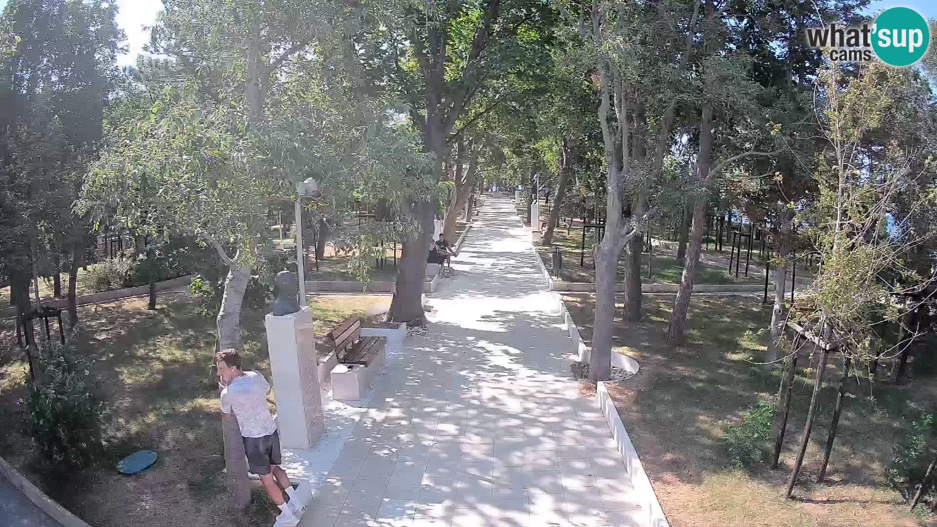 Webcam Schriftstellerpark Senj – Live am Meer