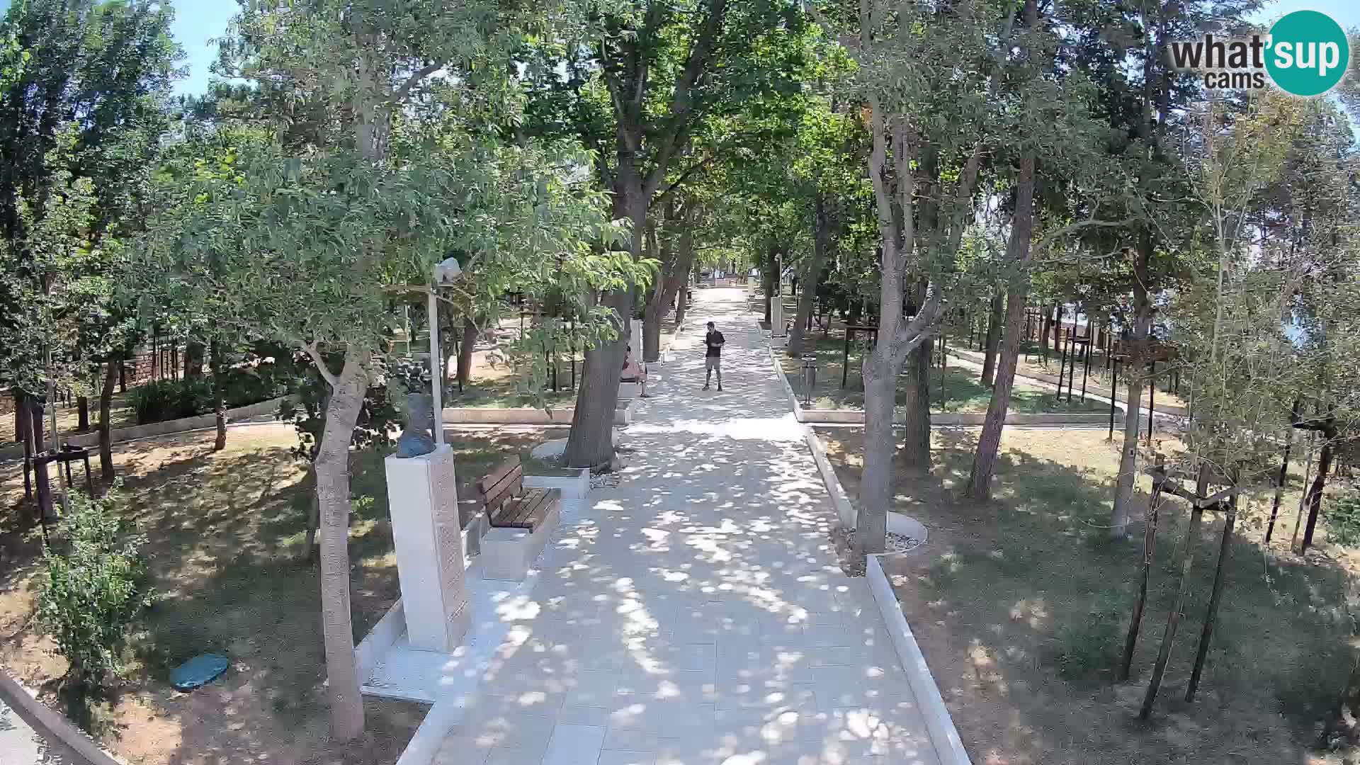 Webcam Parco degli Scrittori Segna – Diretta sul Mare