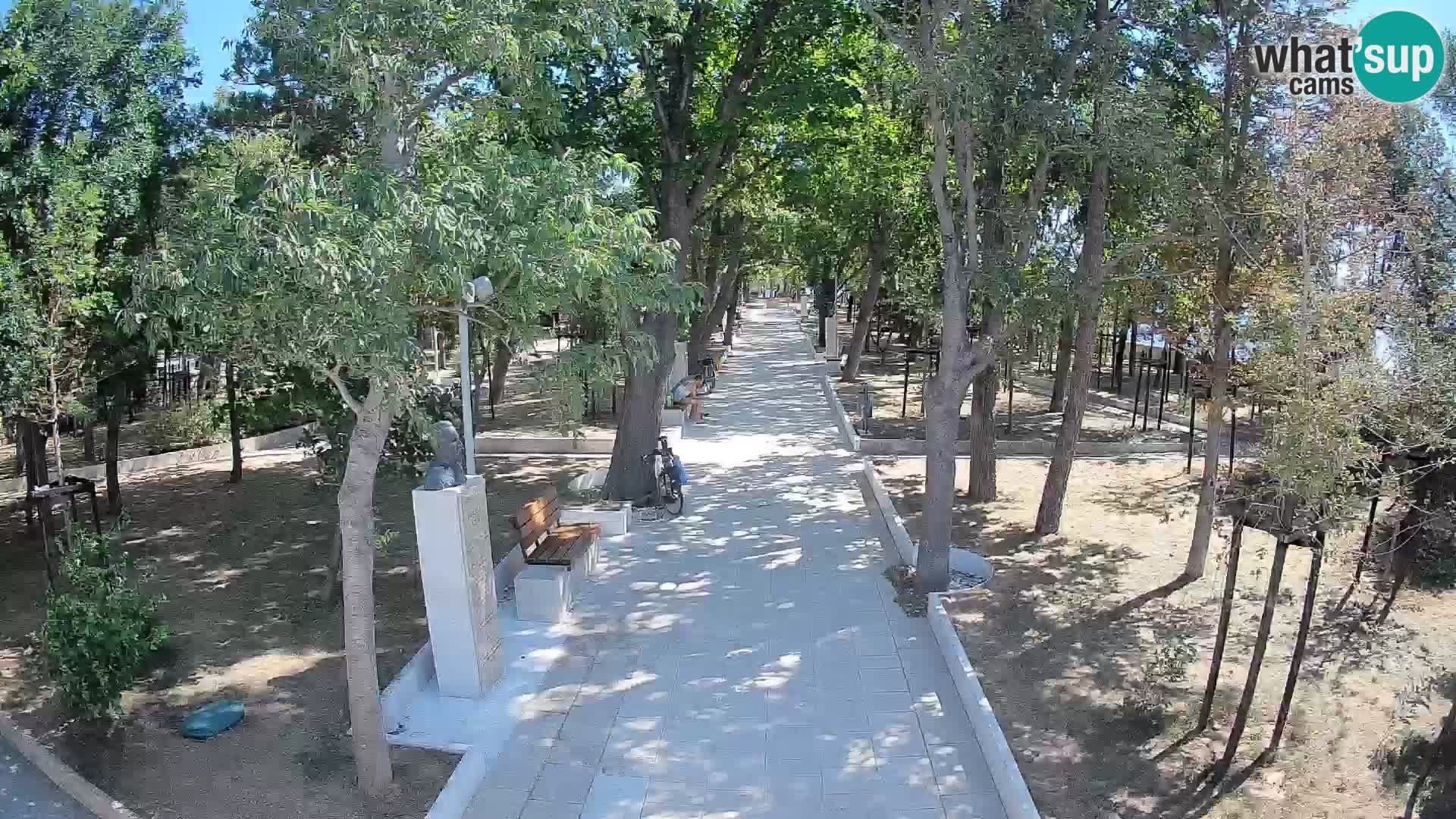 Webcam Parco degli Scrittori Segna – Diretta sul Mare