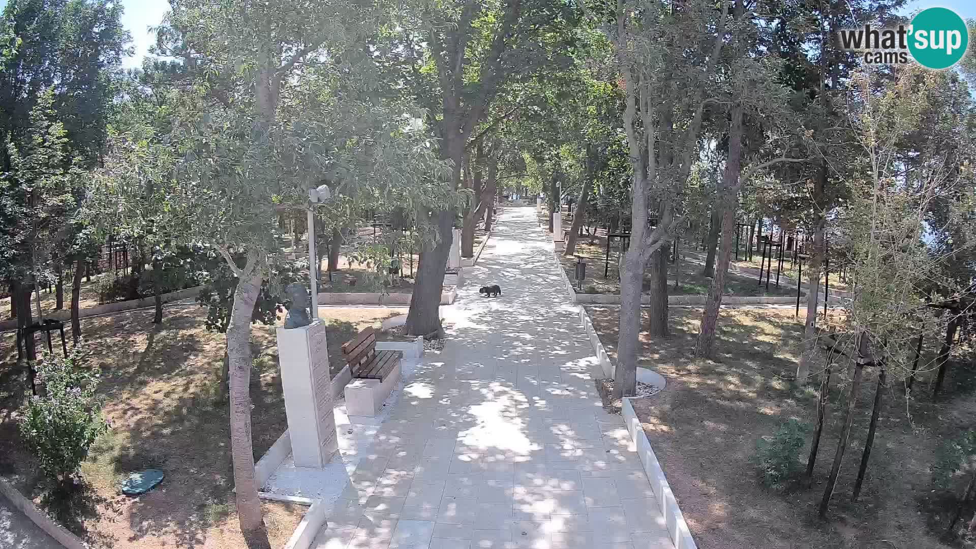 Writers’ Park Webcam Senj – Live by the Sea