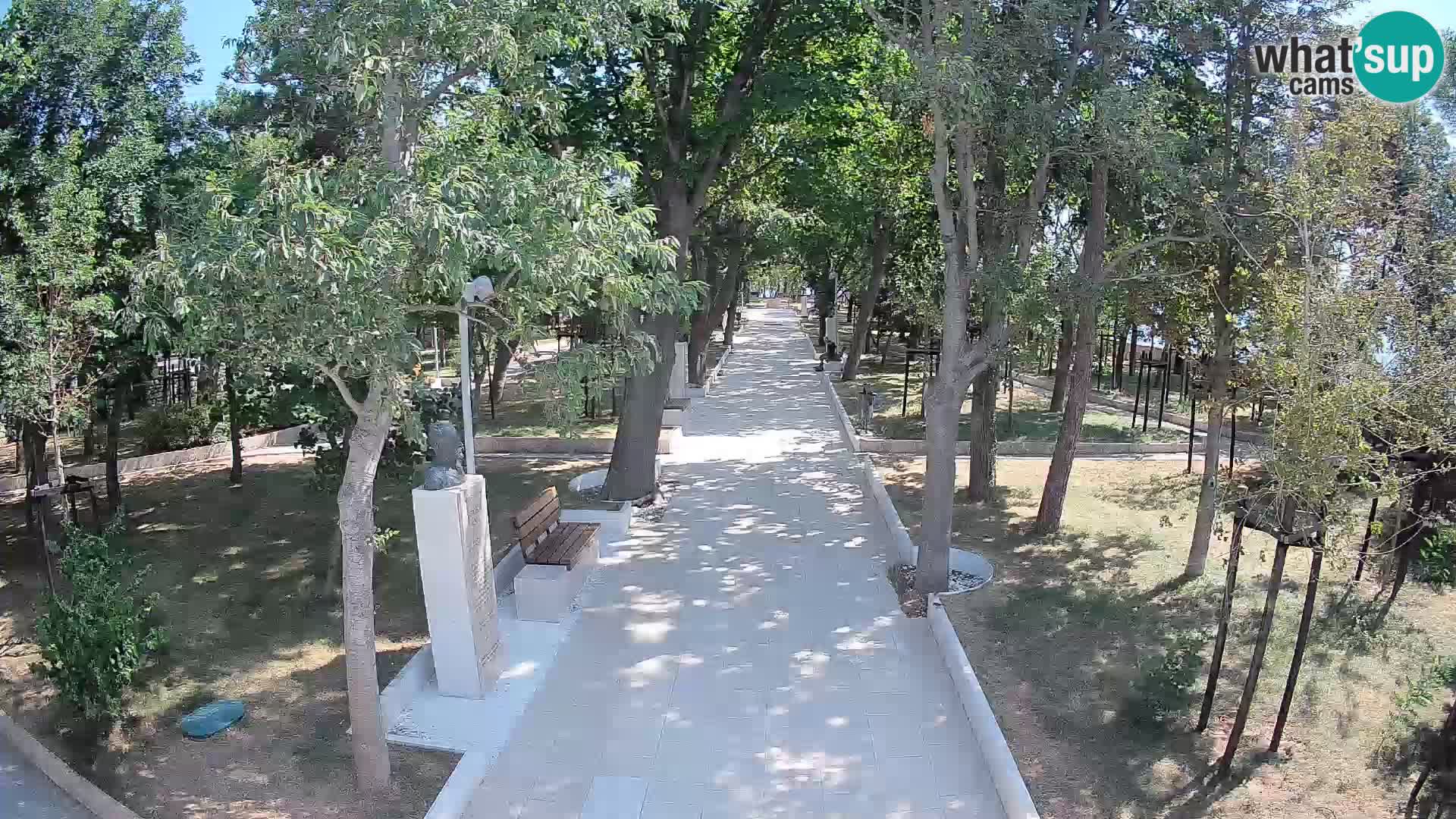 Webcam Parco degli Scrittori Segna – Diretta sul Mare
