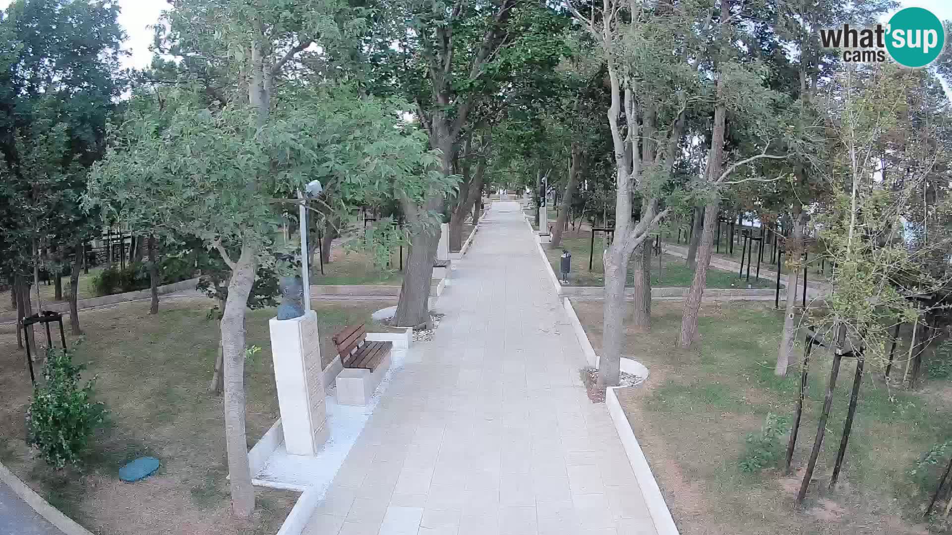 Webcam Parco degli Scrittori Segna – Diretta sul Mare