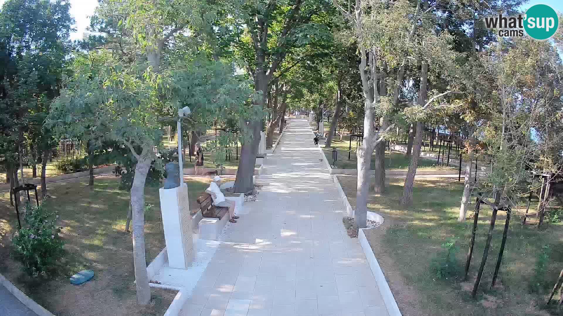 Webcam Parco degli Scrittori Segna – Diretta sul Mare