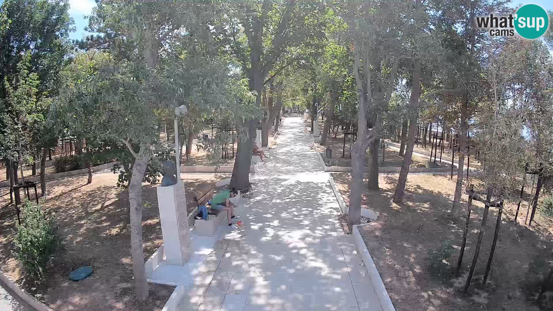 Webcam Parco degli Scrittori Segna – Diretta sul Mare