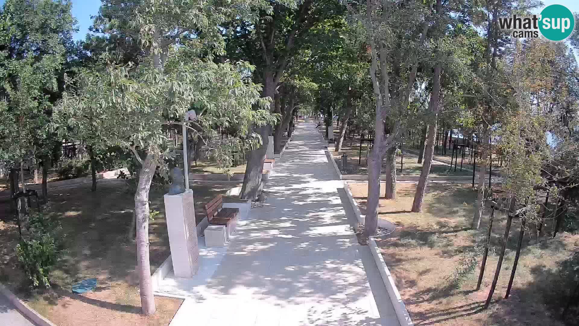 Webcam Parco degli Scrittori Segna – Diretta sul Mare