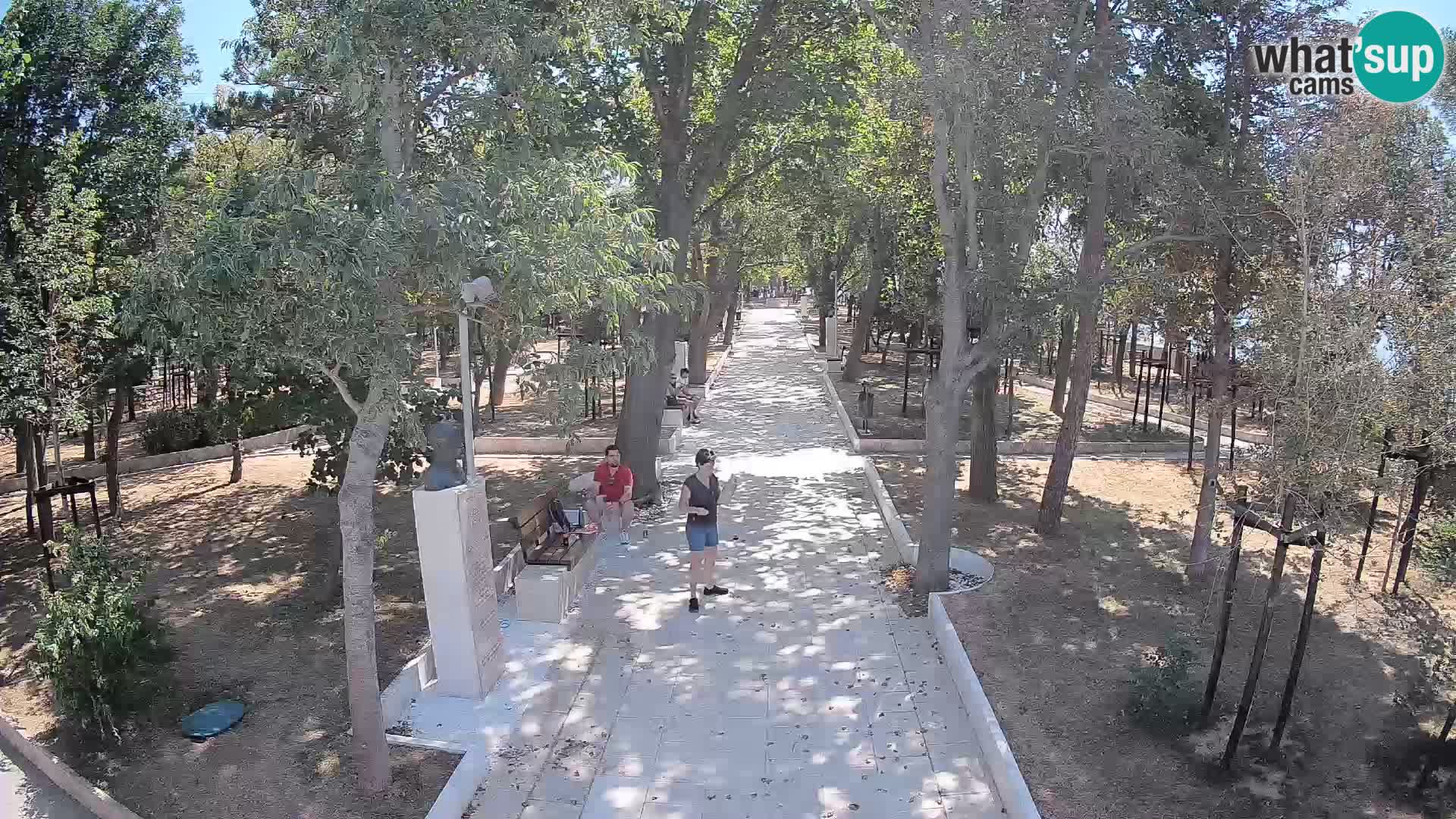 Webcam Parco degli Scrittori Segna – Diretta sul Mare