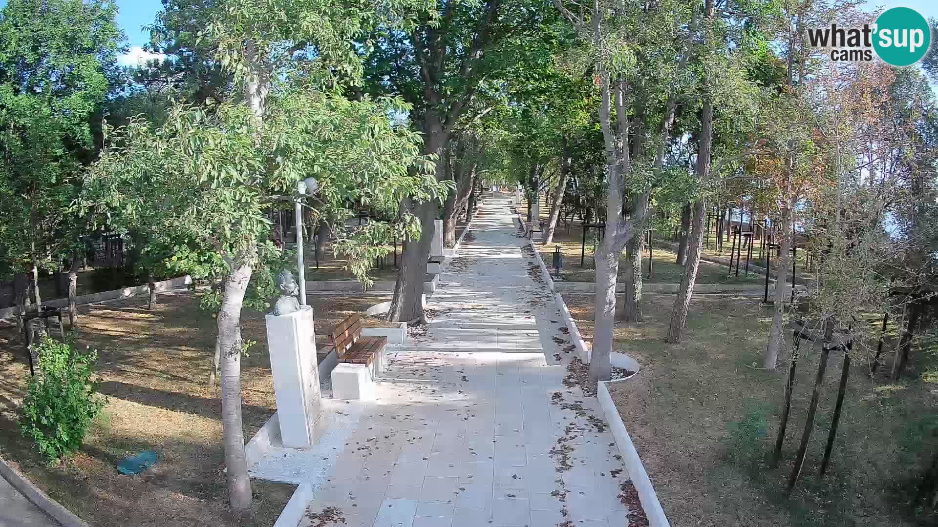 Webcam Parco degli Scrittori Segna – Diretta sul Mare