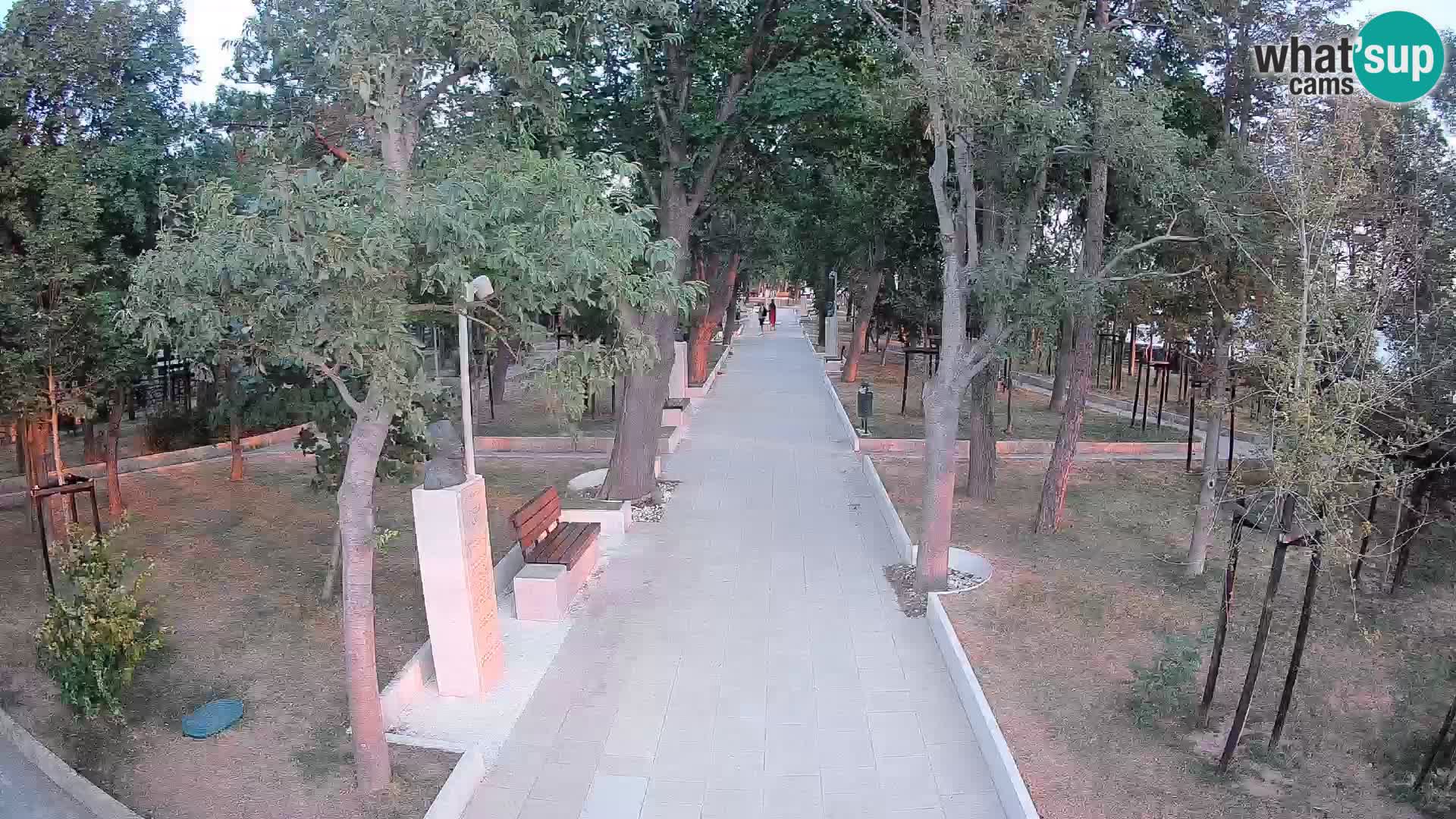 Webcam Parco degli Scrittori Segna – Diretta sul Mare