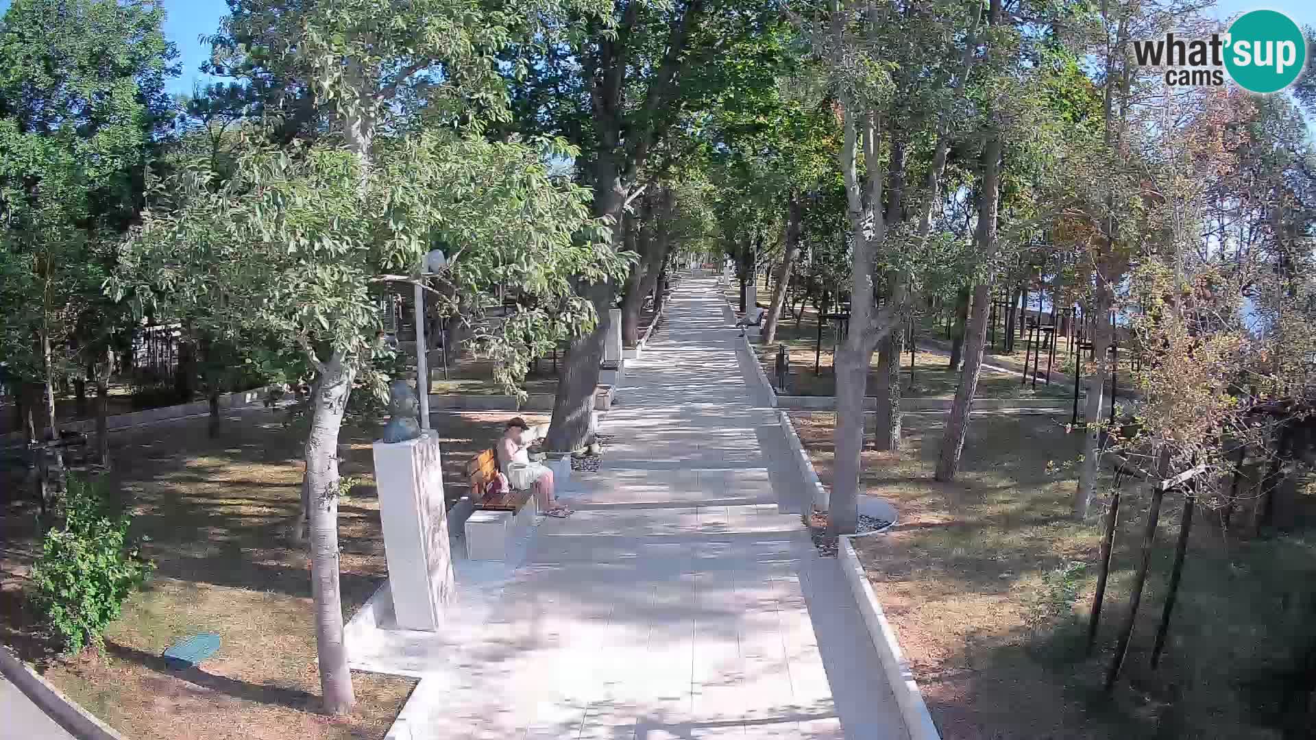Webcam Parco degli Scrittori Segna – Diretta sul Mare
