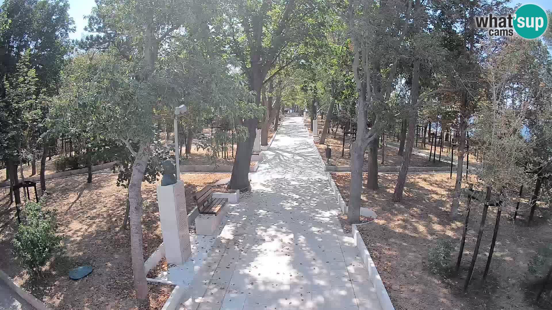 Webcam Parco degli Scrittori Segna – Diretta sul Mare