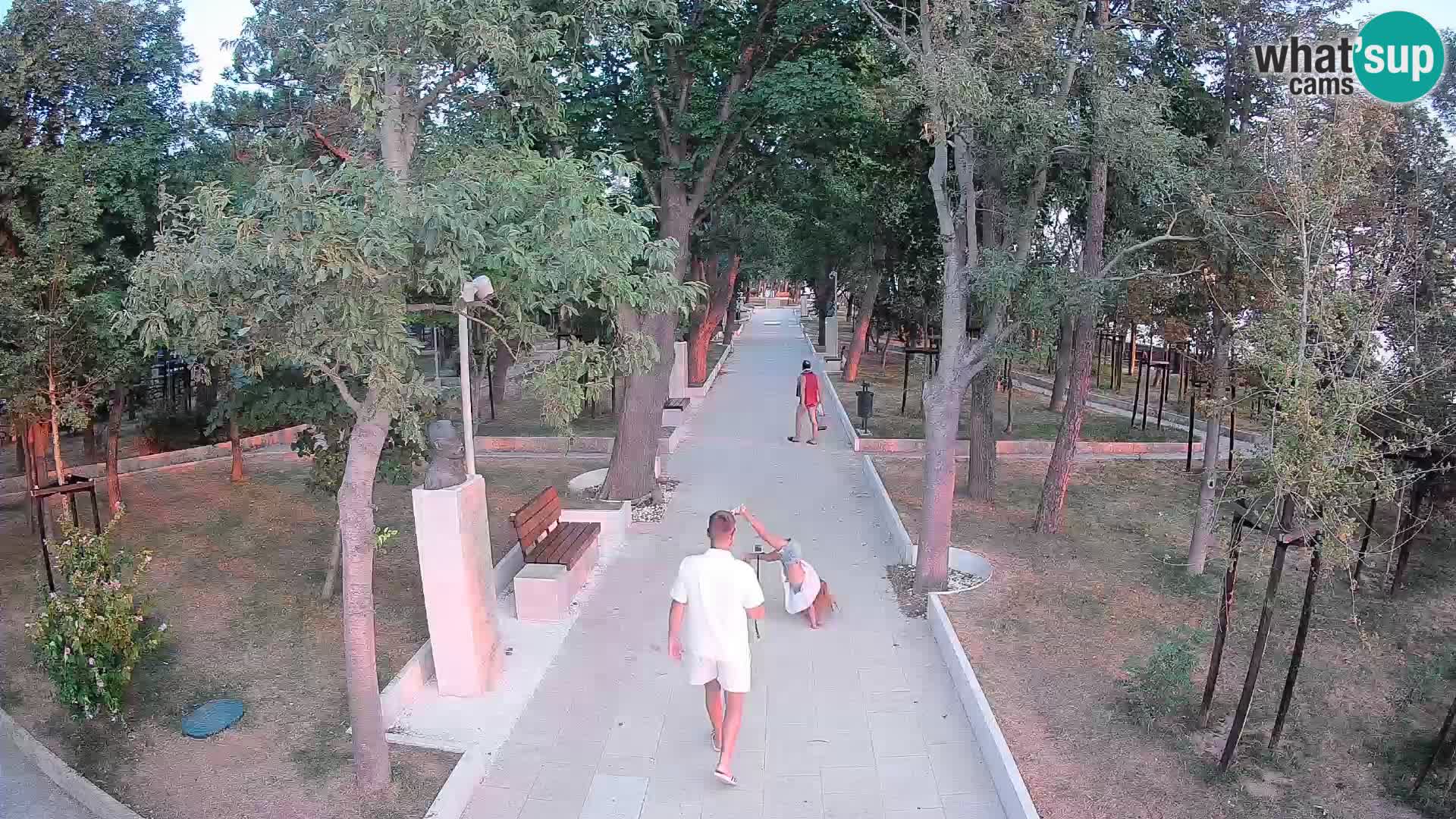 Webcam Parco degli Scrittori Segna – Diretta sul Mare