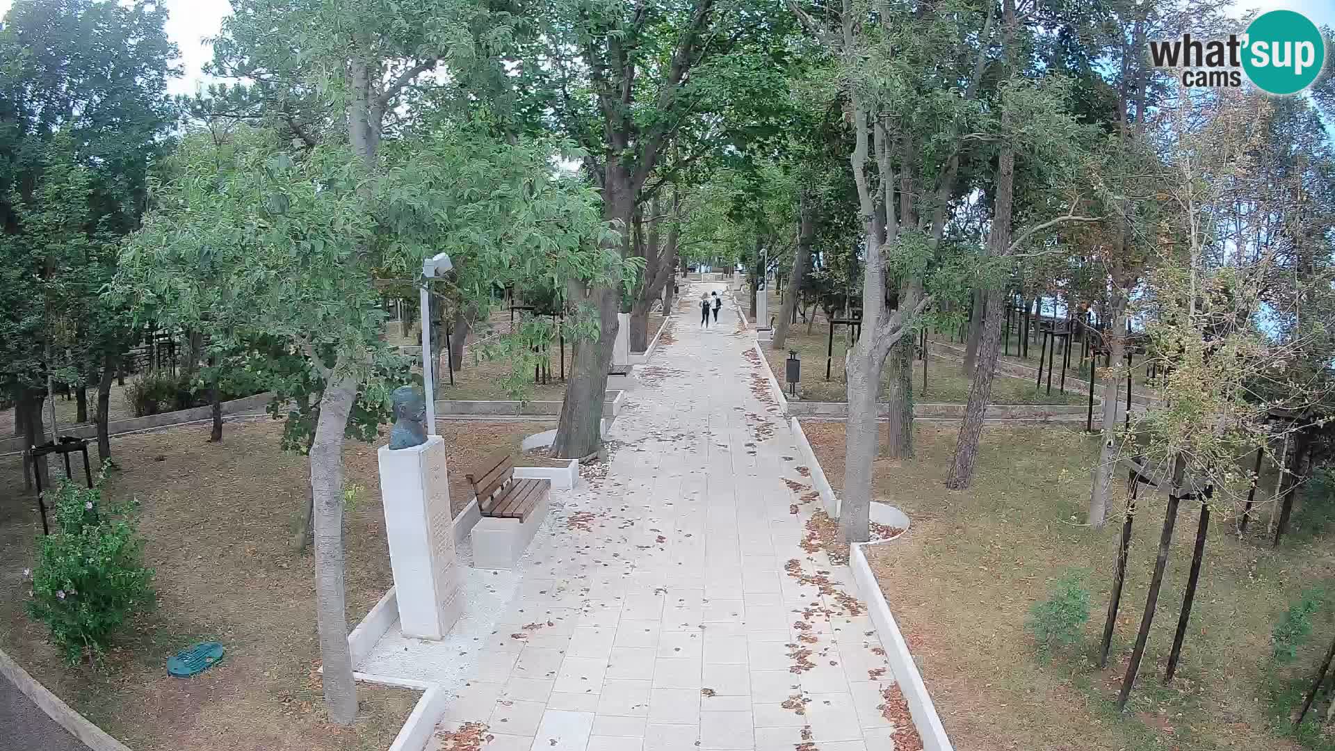 Webcam Parco degli Scrittori Segna – Diretta sul Mare