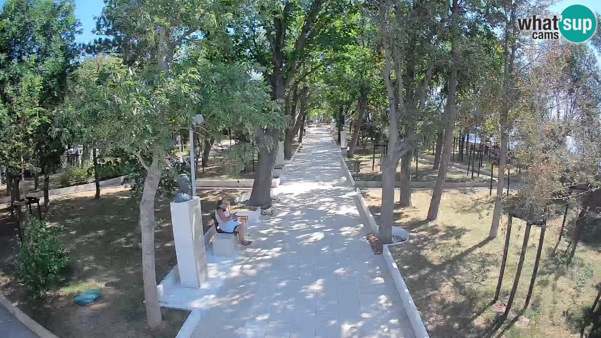 Webcam Parco degli Scrittori Segna – Diretta sul Mare